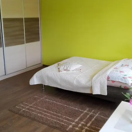 Samodzielny Dom Leba Tatil Evi *